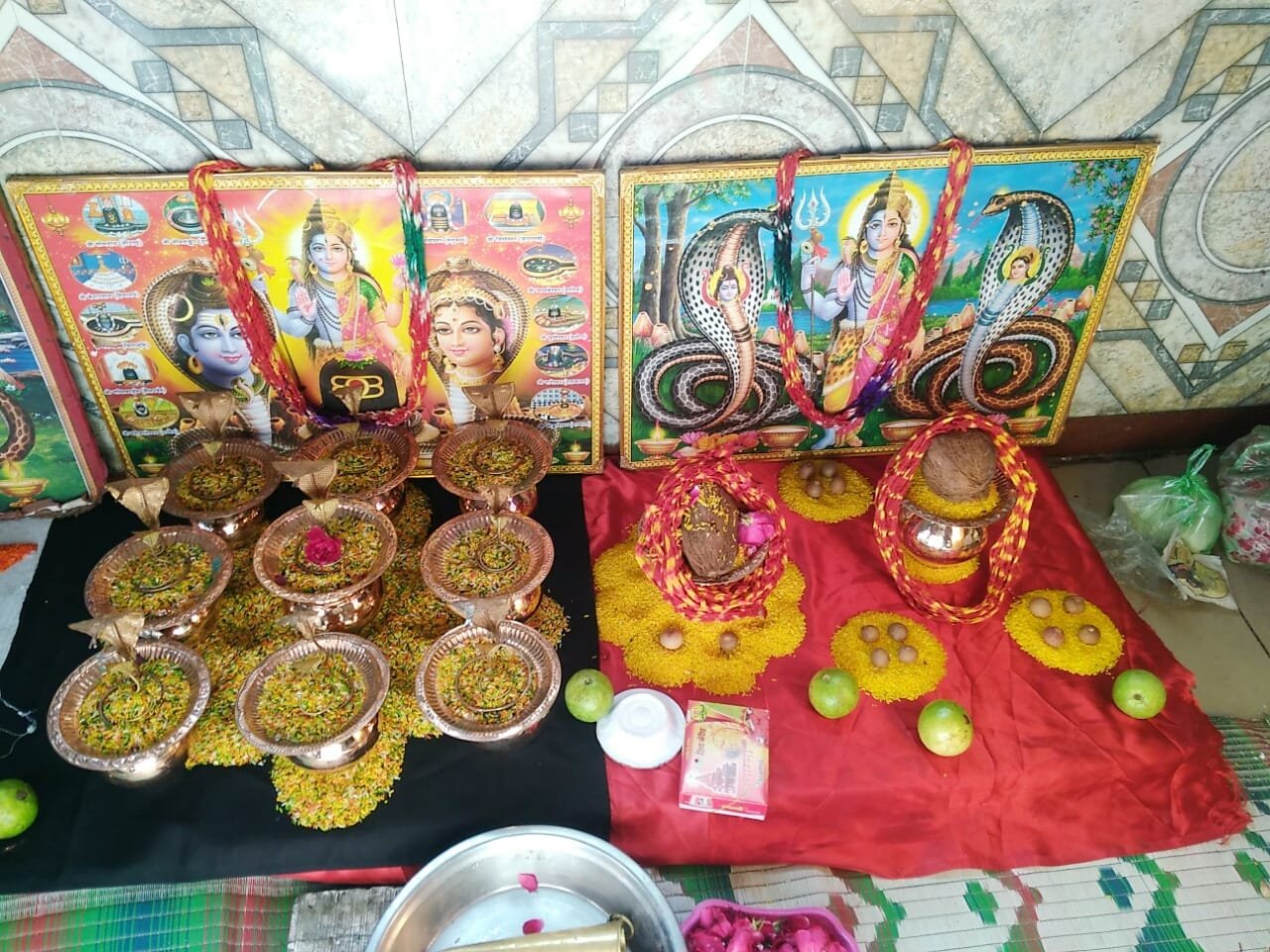 Our experienced Vedic pandits in Ujjain